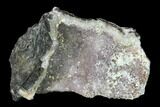 Quartz Crystal Geode Section - Morocco #136935-1